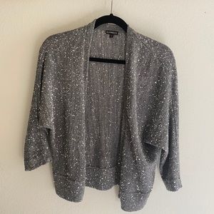 Express Silver Sequin Sweater